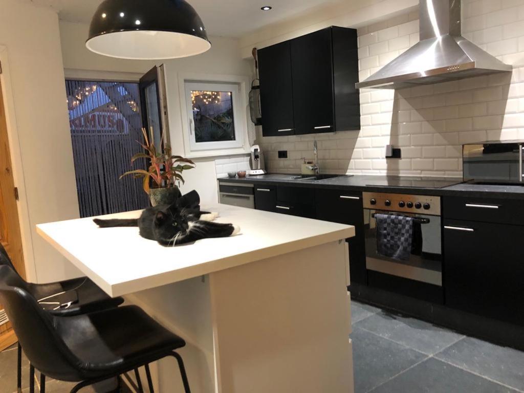 Apartamento Studio Dream On Met Zonnige Terras Ostende Exterior foto